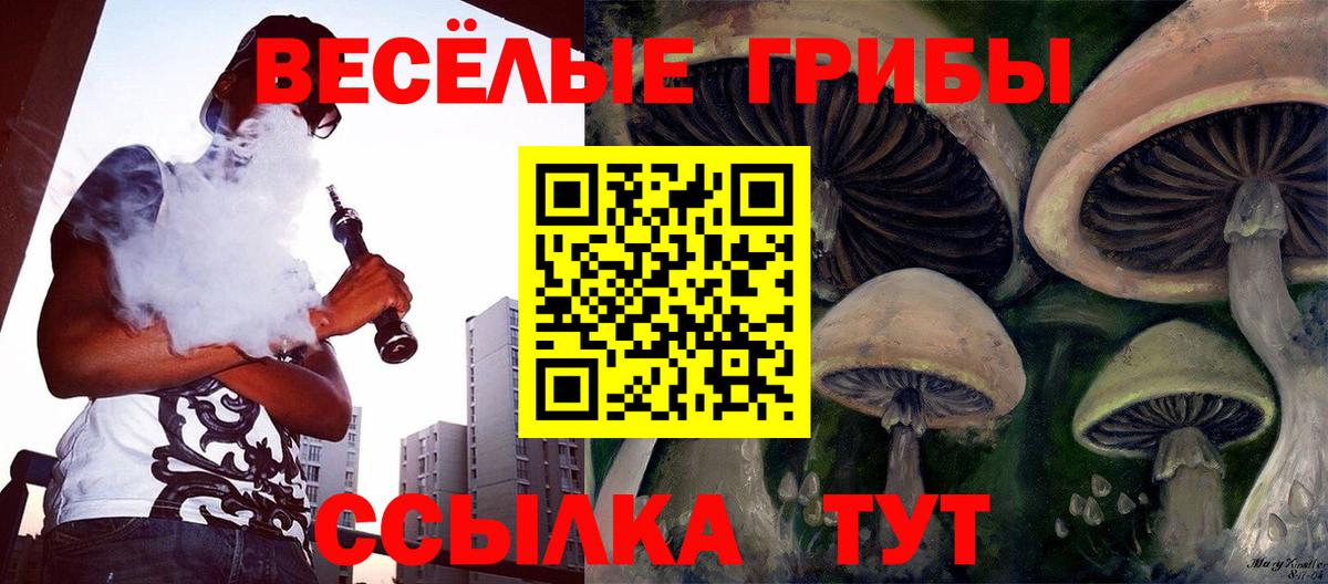 Галлюциногенные грибы MAGIC MUSHROOMS Красноармейск